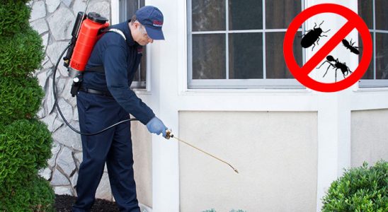 Aşkale Fare İlaçlama böcek ilaçlama ve haşere kontrolü — ilaclama-tr.com
